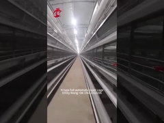 Tipo attrezzatura automatica moderna Emily di H della gabbia del pollo di 25000 uccelli