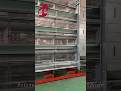 Metta a strati la gabbia 2.40m* 2.60m* 2.0m Rosa del pollo della fila dell'attrezzatura 4 dell'azienda avicola