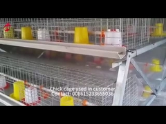 Lunghezza automatica galvanizzata calda Mia degli uccelli 1.2m di Chick Brooder Cage 192 del bambino della pollastra