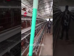 Gabbia in batteria per polli a 3 o 4 livelli di tipo A o H per pollame Allevamento di polli Doris