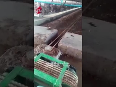 Macchina Mia di rimozione del concime di uso dell'azienda agricola di pollo di 5.000 uccelli