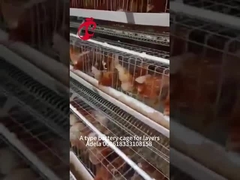 Sistema di gabbia a strato ad alta resistenza in acciaio a basso tenore di carbonio galvanizzato a caldo in Africa Adela