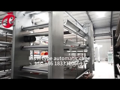 Sistema automatico di allevamento di polli in gabbia di tipo H