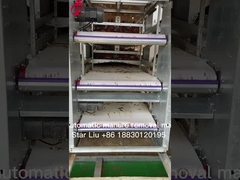 tipo macchina della ruspa spianatrice di 220V 380V di rimozione del concime per la stella della Camera di pollo del pollame