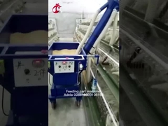 Un tipo e tipo carretto d'alimentazione Adela di H del pollo automatico di dimensione di personalizzazione