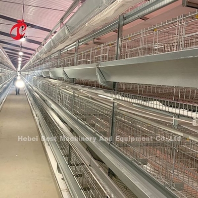 Sistema di gabbia galvanizzata a caldo di pollame in strato bianco