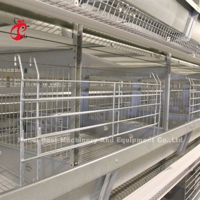 Pollo 12 cellule strato sistema di gabbia batteria 4 livello per la fattoria Adela