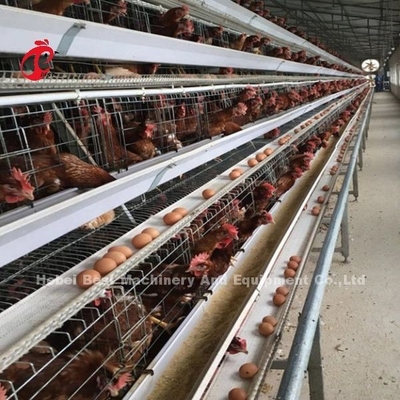 Adela galvanizzata calda del tipo bere automatico del sistema della gabbia di strato ed alimentarsi di 4 Tires A