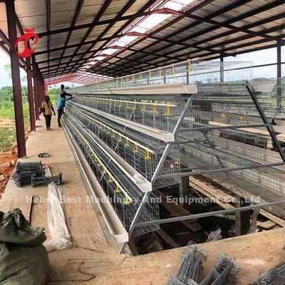 Diametro del filo di gabbia 2,8 mm-3,5 mm Sistema di gabbia per agricoltura a strati con sistema automatico di bere Adela