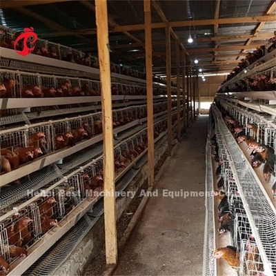 Sistema di gabbia a batteria per galline e polli