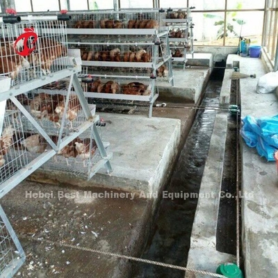 La macchina automatica della ruspa spianatrice della pollina di tre fasi rimuove lo spreco del pollo sabbioso