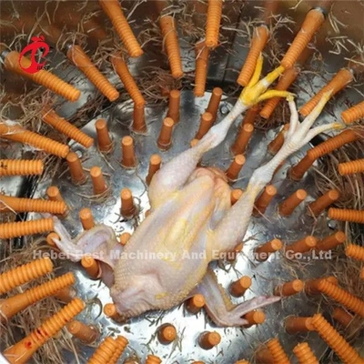 Uccelli automatici della macchina 180 di rimozione della piuma del pollo all'ora e 500 uccelli per Ada di ora