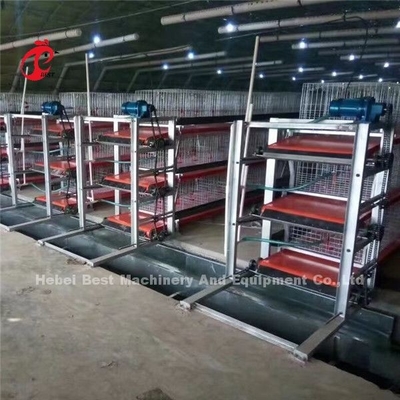 Cage per polli di pollo automatico tipo H per polli di pollo Ada