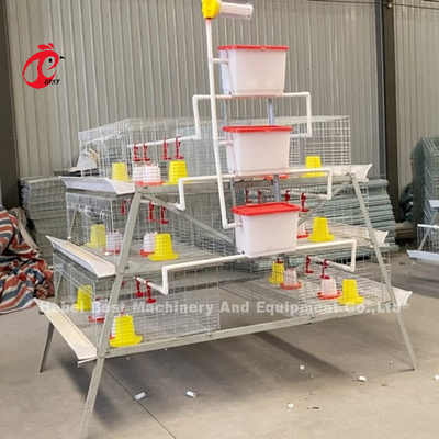 Gabbia in batteria dei pulcini di un giorno per dei polli da arrosto 3 o 4 iride galvanizzata la fila