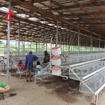 CE un tipo 120 uccelli Chick Rearing Cage With Drinkers e stella degli alimentatori
