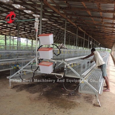 CE un tipo 120 uccelli Chick Rearing Cage With Drinkers e stella degli alimentatori