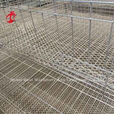 Tipo galvanizzato gabbia di H o di A del pollo da carne per una del giorno scorso al pollo adulto Doris