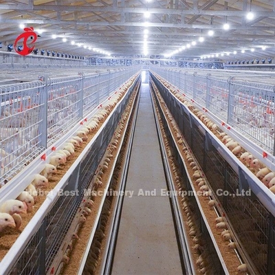 Tipo galvanizzato gabbia di H o di A del pollo da carne per una del giorno scorso al pollo adulto Doris
