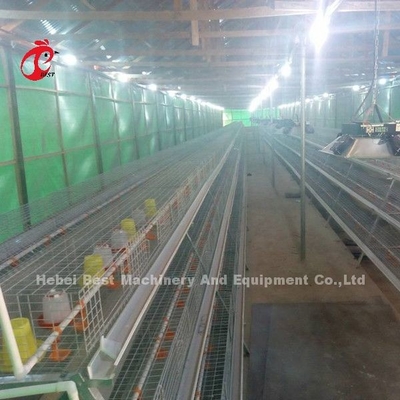 Allevamento Gabbia Pollame Farm Brooder Allevamento Attrezzature Sandy