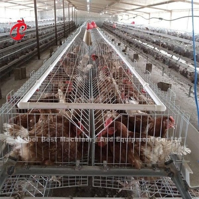 Allevamento Gabbia Pollame Farm Brooder Allevamento Attrezzature Sandy