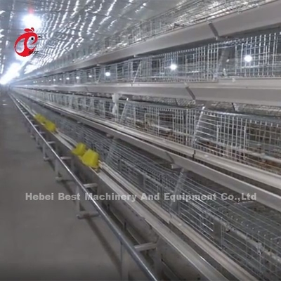 Galvanizzato 120 pulcini del giorno scorso di strato di allevamento in gabbie del pollo dell'incubatrice della capacità iridi