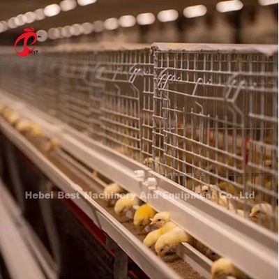 Galvanizzato 120 pulcini del giorno scorso di strato di allevamento in gabbie del pollo dell'incubatrice della capacità iridi