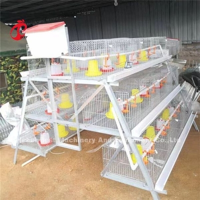 Chicken Cage Of Poultry Chicks Ada