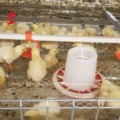 Un tipo di gabbia per polli da pollo e una fattoria per pollame