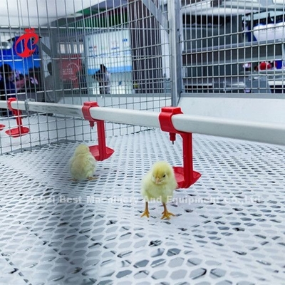 96 uccelli un tipo - azienda agricola Doris di Chick Brooder Cage In Chicken da 1 - 12 settimane