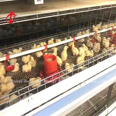 96 uccelli un tipo - azienda agricola Doris di Chick Brooder Cage In Chicken da 1 - 12 settimane