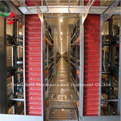 Il sistema completamente automatico H della gabbia in batteria del pollame di 100 polli scrive Adela a macchina galvanizzata calda