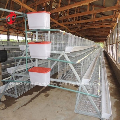 120 Uccelli 200 Uccelli Capacità Pollame Sistema di gabbia a batteria per strati Polli da carne Polli stella
