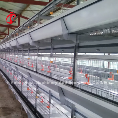Pollo automatico della gabbia per polli di strato che coltiva le soluzioni complete Rosa della Camera prefabbricata