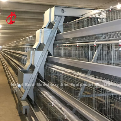 Pollo automatico della gabbia per polli di strato che coltiva le soluzioni complete Rosa della Camera prefabbricata