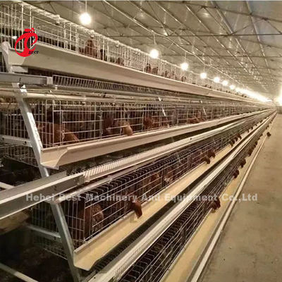 4 capacità completamente automatica del sistema 160 della gabbia in batteria della fila per l'azienda avicola del pollo Doris