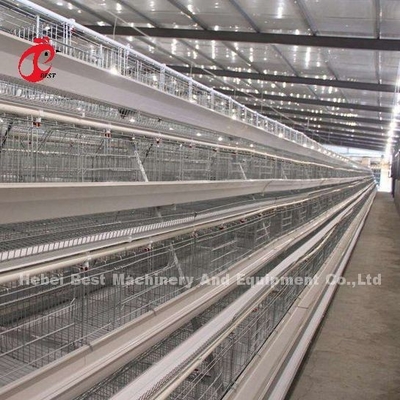 Gabbia per polli in acciaio inossidabile