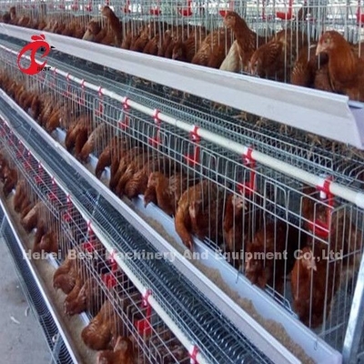 450cm2 Tipo H Sistema automatico di gabbia a batteria per polli con alimentatore Adela