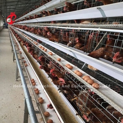 Gabbia per polli in acciaio inossidabile