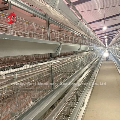 Gabbia per polli in acciaio inossidabile