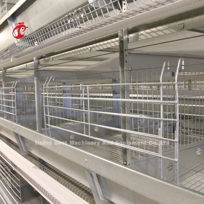 2Sistema di gabbia a batteria a 2 metri per 120-200 polli Adela