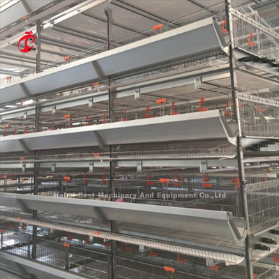 4 livelli gabbia di pollo attrezzature completamente automatiche soluzioni personalizzate disponibili Adela