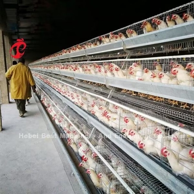 110 kg di acciaio galvanizzato Cage automatico a strato di pollo Cage di batteria Cage Doris
