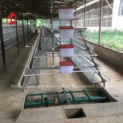 2Sistema di gabbia a batteria a 2 metri per 120-200 polli Adela