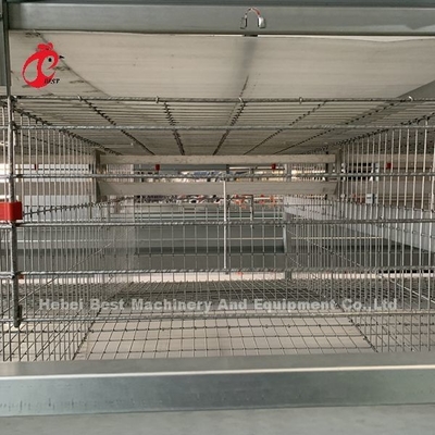 4 livelli gabbia di pollo attrezzature completamente automatiche soluzioni personalizzate disponibili Adela