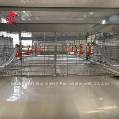 20 anni di durata della vita di strato di avicoltura del pollo di attrezzatura automatica della gabbia per 20.000 strati di Adela