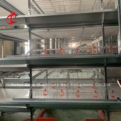 2Sistema di gabbia a batteria a 2 metri per 120-200 polli Adela
