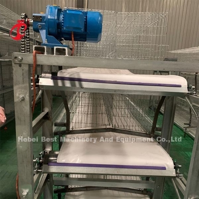 Nastro trasportatore automatico dell'attrezzatura di rimozione del concime con le strisce di raschio Adela
