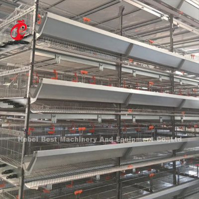 20 anni di durata della vita di strato di avicoltura del pollo di attrezzatura automatica della gabbia per 20.000 strati di Adela