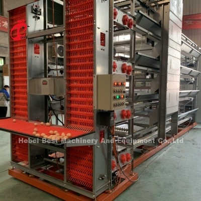 Equipaggiamento automatico di gabbia per polli di H Quadro 4 Livello di allevamento di strato gabbia per 50.000 azienda agricola Doris Shi