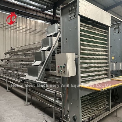 Diametro del filo di gabbia 2,8 mm-3,5 mm Sistema di gabbia per agricoltura a strati con sistema automatico di bere Adela